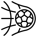 顾彩会